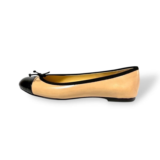 Senha【セーニャ】25AW